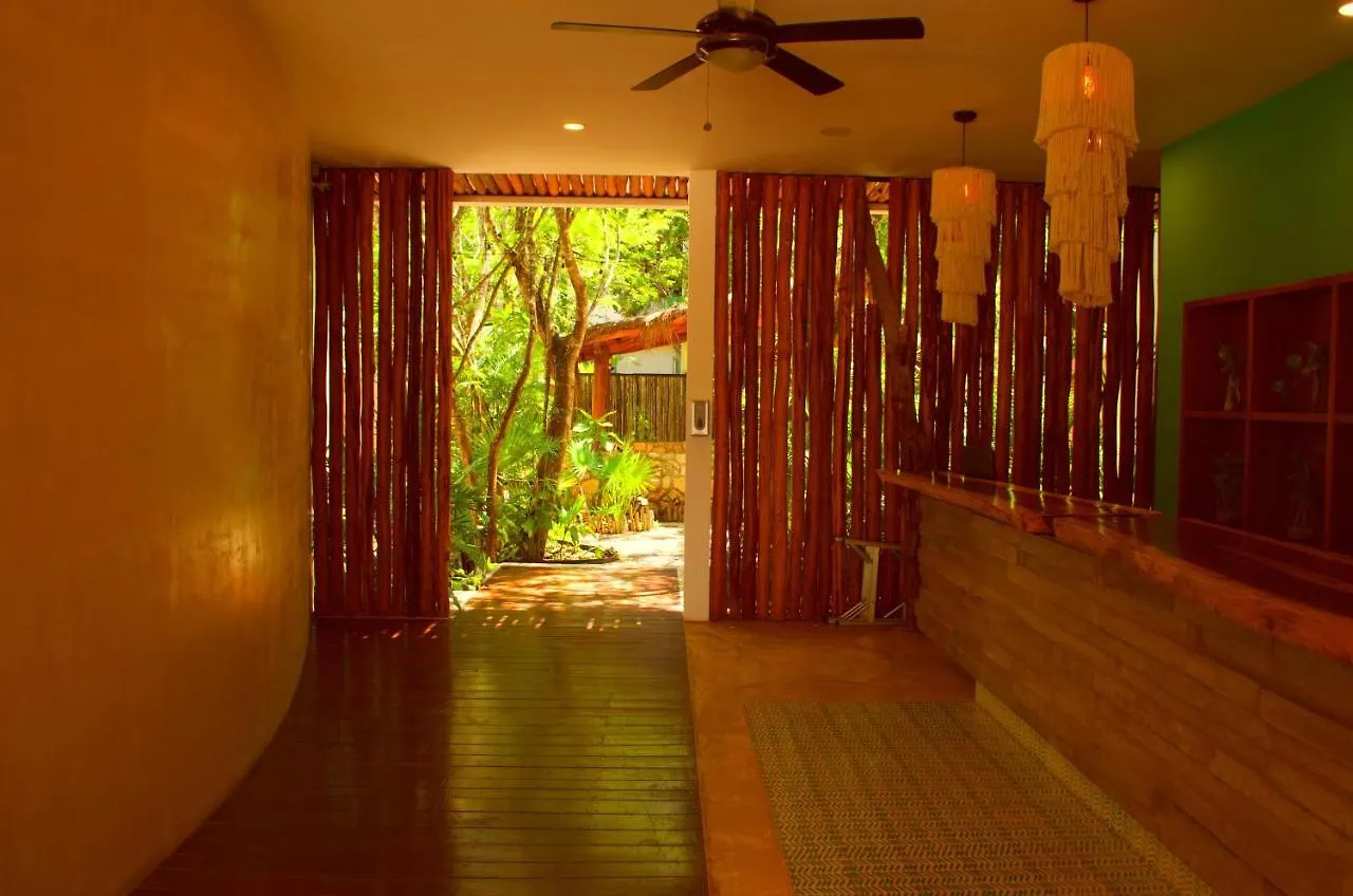 Aparthotel Palalma Casa Tulum - Luxury Apartment Mexico